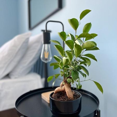 Apartamenty Rynek 7 Cieszyn  Dış mekan fotoğraf